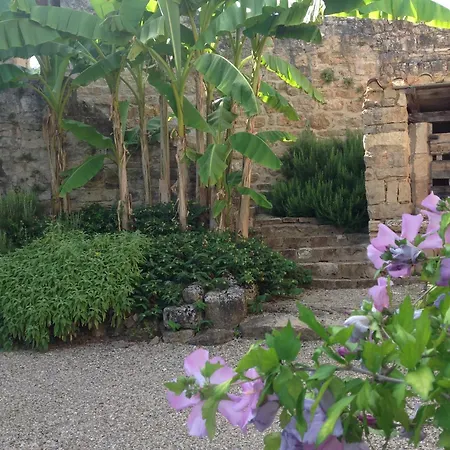 La Bastide De La Bogne קורד-סור-סיאל