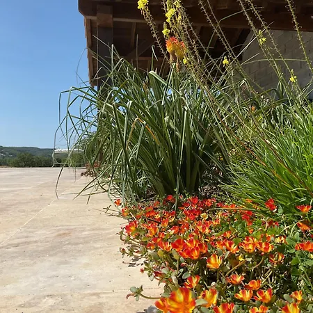 La Bastide De La Bogne Bed and Breakfast Cordes Sur Ciel