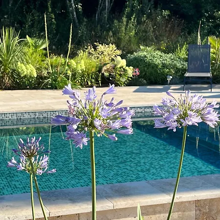 La Bastide De La Bogne Bed and Breakfast Cordes Sur Ciel