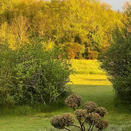 La Bastide De La Bogne Bed and Breakfast